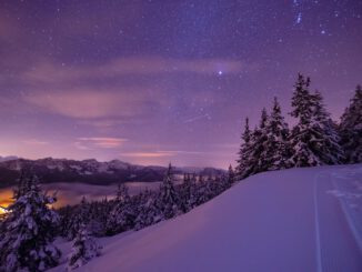 Winternacht (Foto: Martin Mariani via Pexels)