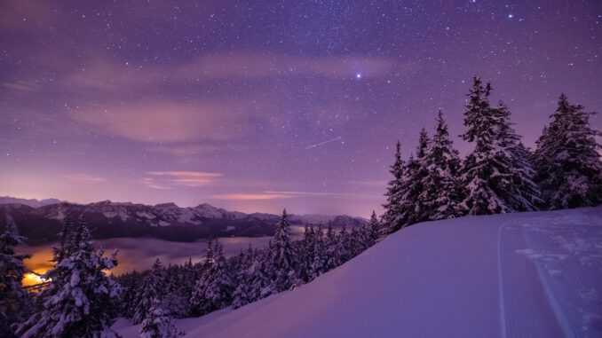 Winternacht (Foto: Martin Mariani via Pexels)