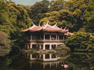 Garden of Words (Foto: Sunil Poudel via Pexels)