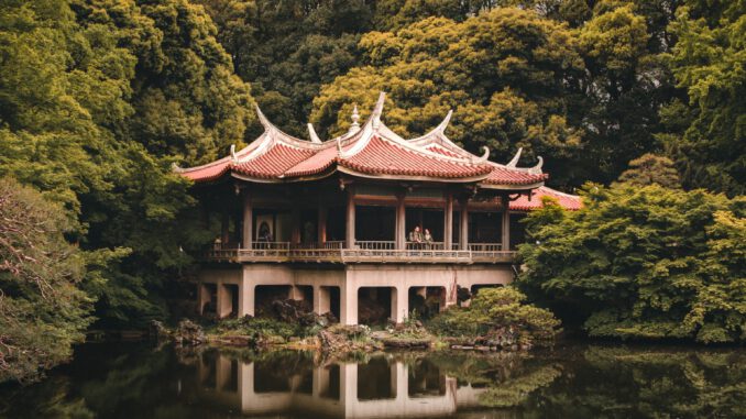 Garden of Words (Foto: Sunil Poudel via Pexels)