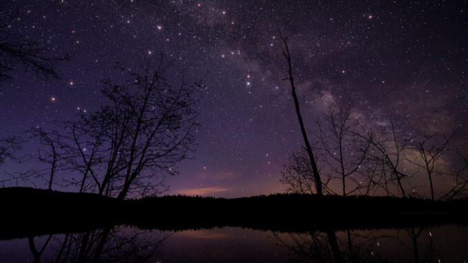 Starlight Sky (Foto: James Wheeler via Pexels)