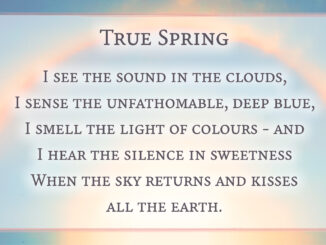 Springtime Lyrics...