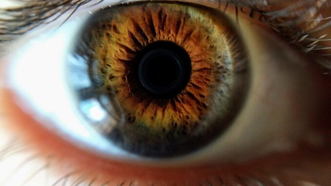 Sehendes Auge (Foto: Rebecca Swafford via Pexels)