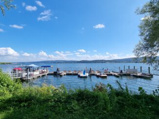 Blick auf den Untersee im August 2021 (Foto: Martin Dühning)