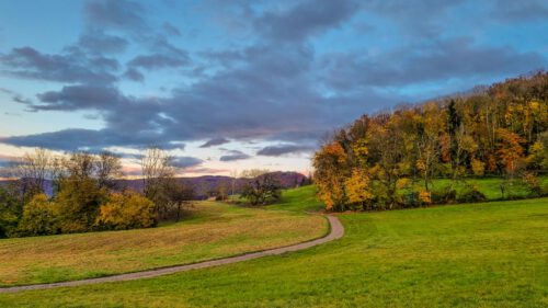 Berg bei Lauchringen mit Blick auf die Küssaburg (Foto: Martin Dühning)