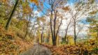 Herbstliche Ansicht vom Waldweg beim Aarberg auf die Schmittenau, den Rhein und Koblenz (Foto: Martin Dühning)