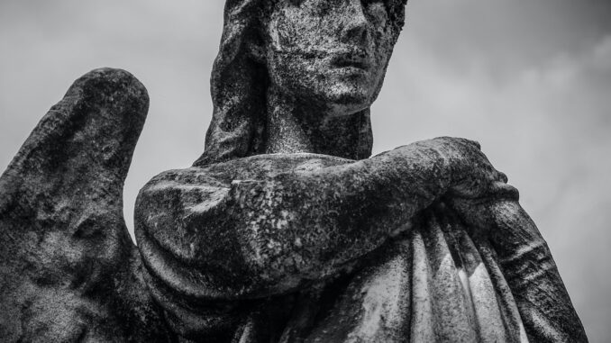 Angel (Foto: Francesco Ungaro via Pexels)