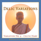 Cover der "Delic Variations" (Grafik: Martin Dühning)