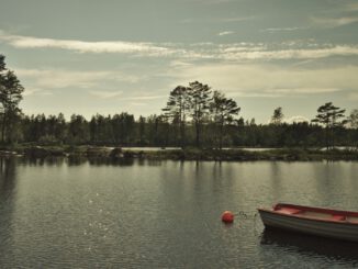 See in Schweden (Foto: Jonathan Petersson via Pexels)