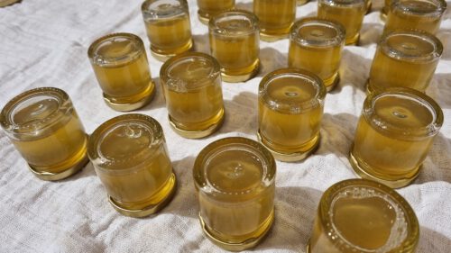 Flucks wird der Dandelion-Sirup in Gläser abgefüllt (Foto: Martin Dühning)