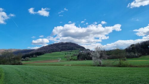 Blick auf die Küssaburg und Bechtersbohl am Palmsonntag 2022 (Foto: Martin Dühning)