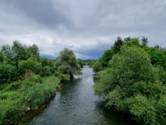 Grüne Illusion der Wutach bei Unterlauchringen (Foto: Martin Dühning)