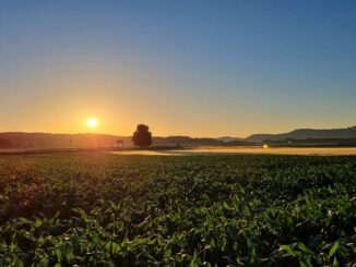 Sonnenaufgang bei Oberlauchringen Richtung Klettgau (Foto: Martin Dühning)