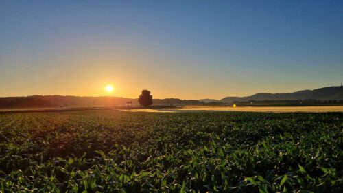 Sonnenaufgang bei Oberlauchringen Richtung Klettgau (Foto: Martin Dühning)