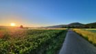 Sonnenaufgang am 14. Juni 2022 Richtung Küssaburg (Foto: Martin Dühning)