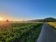 Sonnenaufgang am 14. Juni 2022 Richtung Küssaburg (Foto: Martin Dühning)