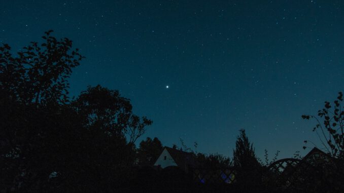 Sternennachts im heimischen Garten (Foto: Martin Dühning)
