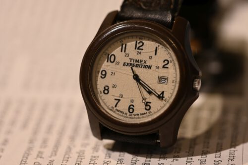 "Time goes by..." - fotografiert mit der Nikon Z fc und Makroobjektiv Nikon Z MC 105 mm 1:2,8 VR S (Foto: Martin Dühning)
