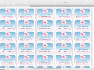 Hibiskus-Etiketten, gelayoutet in Affinity Designer 2.1 (Grafik: Martin Dühning)