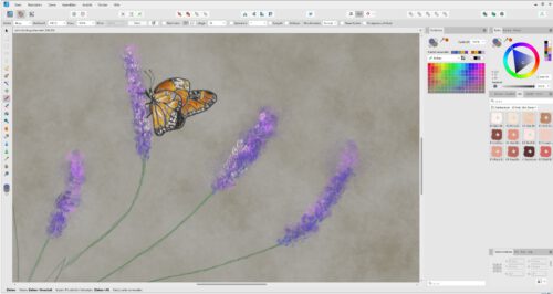Schmetterling mit Affinity Designer 2.1 (Grafik: Martin Dühning)