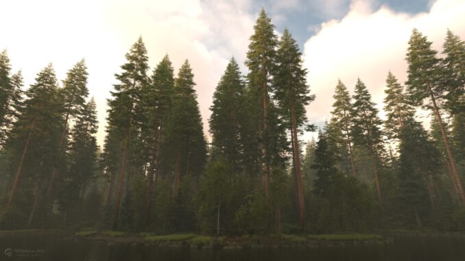 Virtueller pazifischer Wald (Grafik: Martin Dühning)