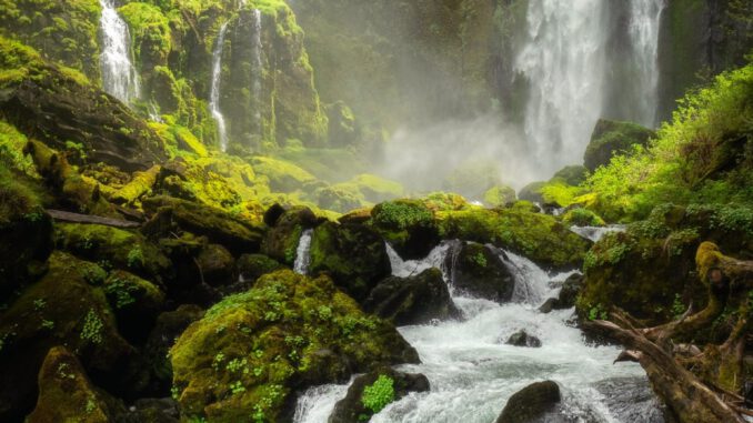 Wasserfall (Foto: Avery Nielsen via Pexels)