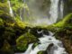 Wasserfall (Foto: Avery Nielsen via Pexels)