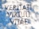 Veritati - Virtuti - Vitae : "Der Wahrheit, der Tugend, dem Leben" - Motto des Hochrhein-Gymnasiums Waldshut (Grafik: Martin Dühning)