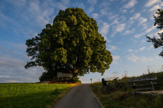 Baltersweil bei Sonnenaufgaben 2024 (Foto: Martin Dühning)