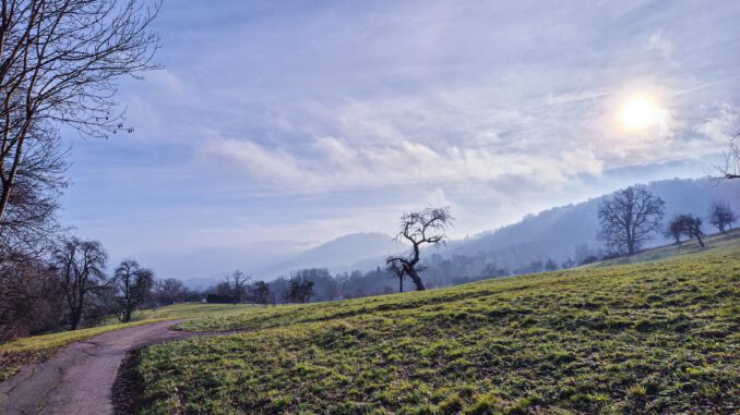 Bergweg bei Oberlauchringen mit Blick auf die Küssaburg am 1. Januar 2025 (Foto: Martin Dühning)
