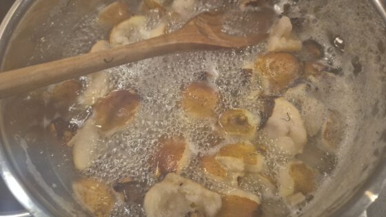Zerkleinerte Mispelfrüchte werden aufgekocht, dann über nach ruhen gelassen und dann durch ein feines Sieb passiert (Foto: Martin Dühning).