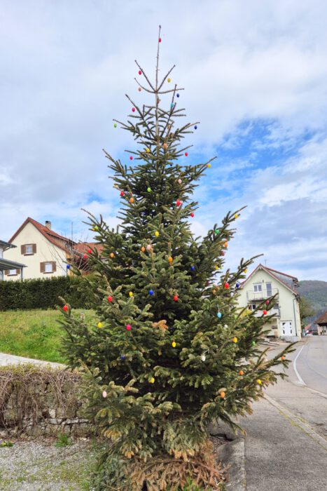 "Osterbaum" mit bunten Eiern in Geißlingen am Palmsonntag 2025 (Foto: Martin Dühning)