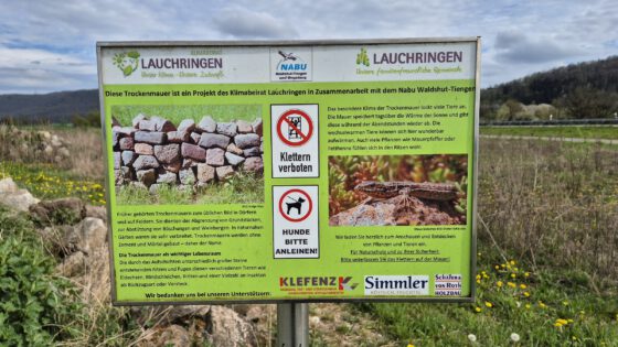 Info-Schild zur Trockenmauer bei Oberlauchringen (Foto: Martin Dühning)