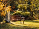 Parkbank (Foto: Tom Swinnen via Pexels)